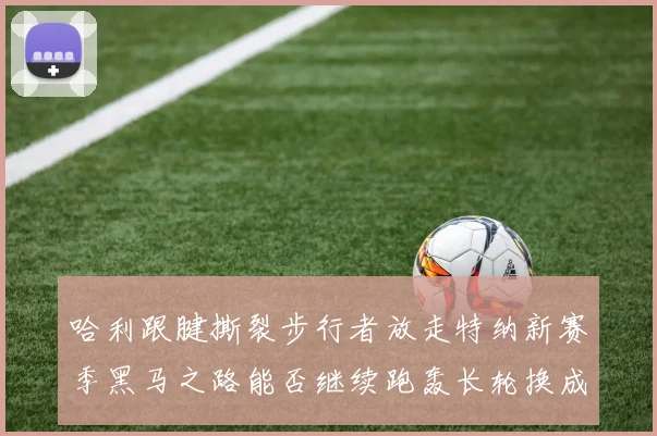 哈利跟腱撕裂步行者放走特纳新赛季黑马之路能否继续跑轰长轮换成关键